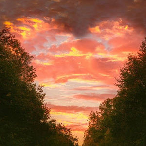 Meet your Posher, Allie